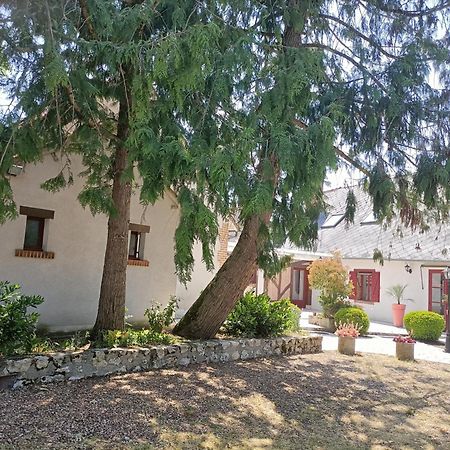 L'Escale Solognote Daire Tour-en-Sologne Dış mekan fotoğraf
